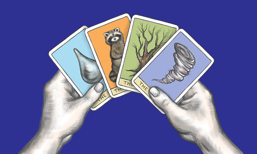 Playing cards with a water drop, raccoon, tree, and tornado on them 