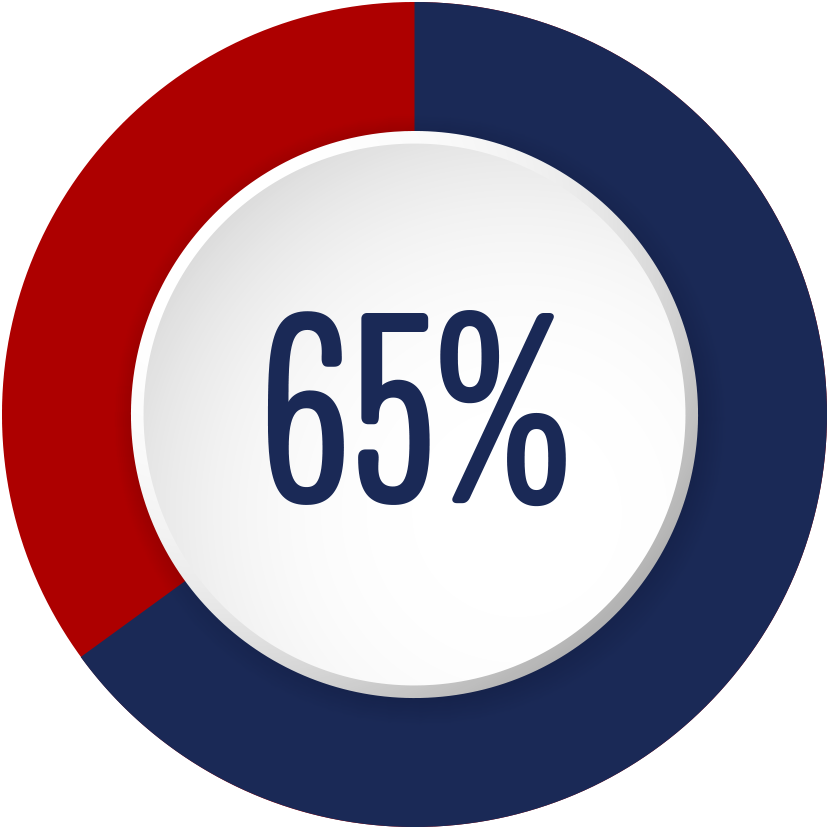 Pie chart 65%