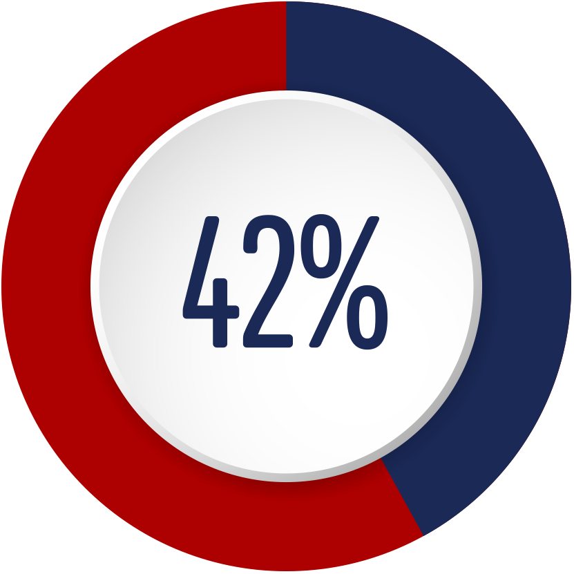 Pie chart 42%